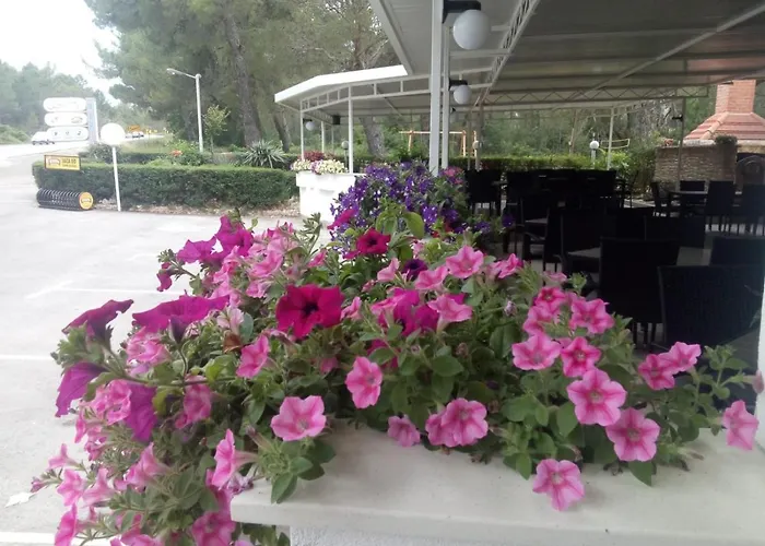 Pansion Restoran Marin 3*